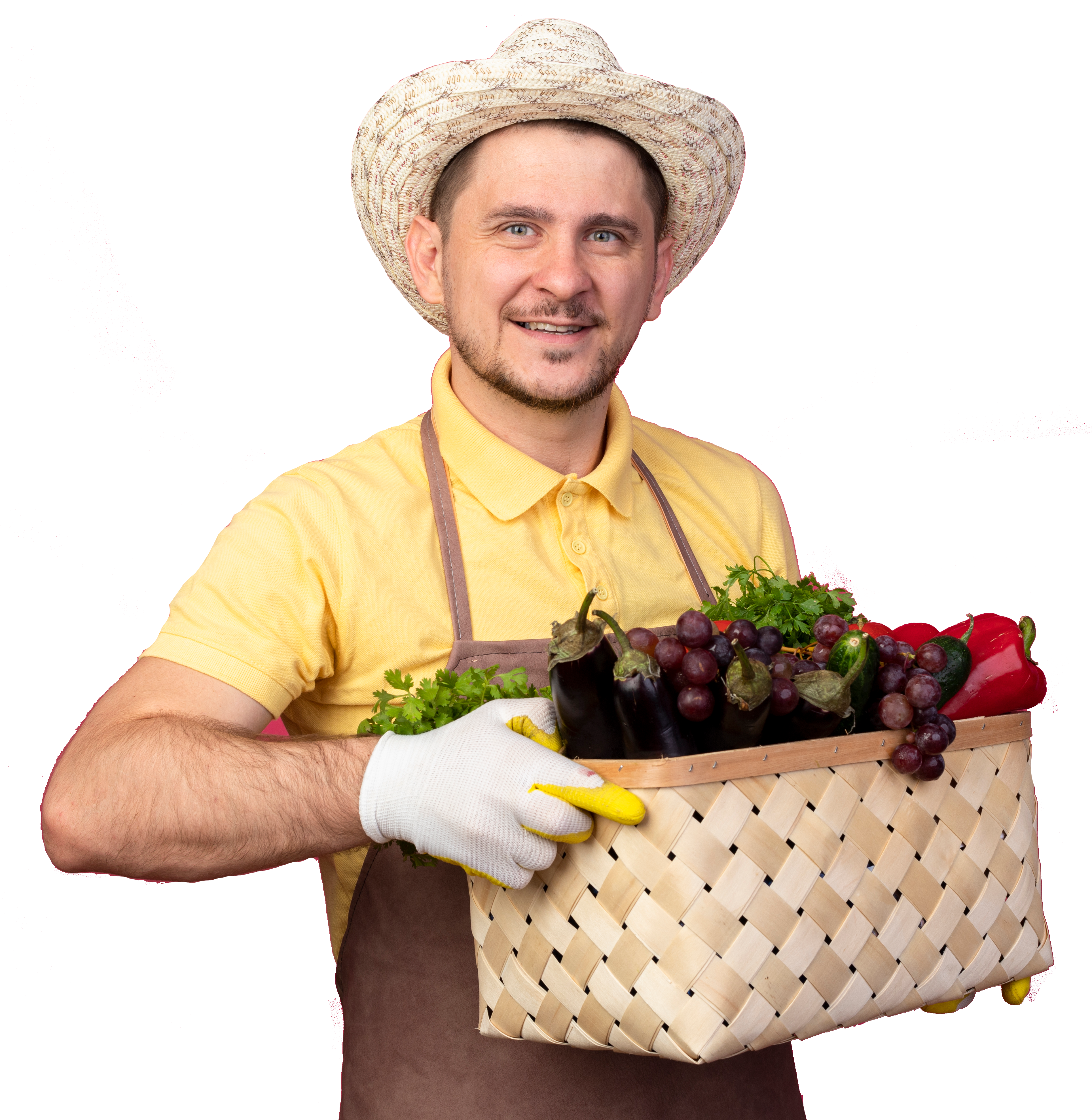 Fazendeiro com frutas